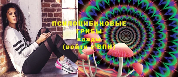 ешки Аркадак
