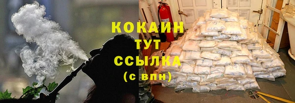 ешки Аркадак