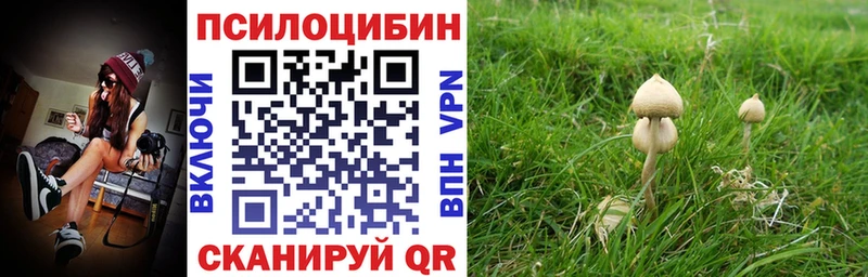 купить  цена  Чехов  Псилоцибиновые грибы мицелий 